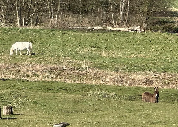 Les Forges Dorval Ferienhaus Florenville